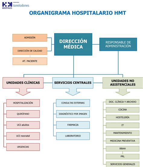 Total Imagen Modelo De Organigrama De Un Hospital Abzlocal Mx