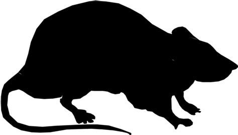 Download Rat Black Png Silhouette Rat Clipart Transparent Png