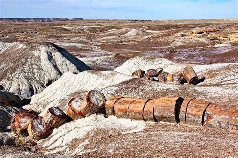 Painted Desert Petrified Forest Bei Holbrook In Arizona Sa