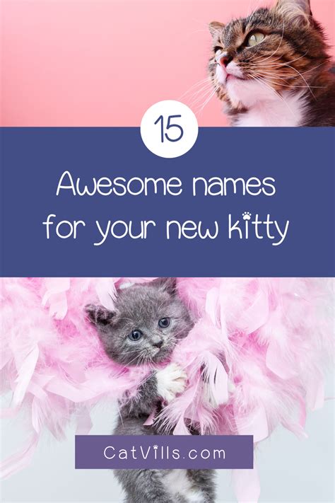 19 Totally Perfect Male Cat Names Youll Love Catvills In 2020 Cat