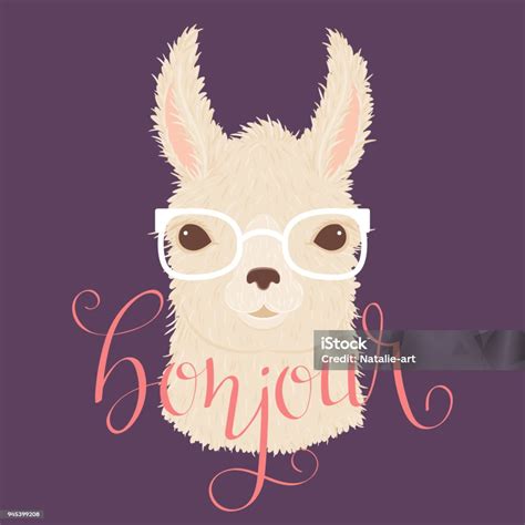 Llama In Glasses Vector Illustration Stock Illustration Download
