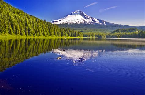 10 Most Jaw Dropping Places To Visit In Oregon Bend