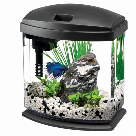Aqueon Minibow Aquarium Led Starter Kit 1 Gallon Black