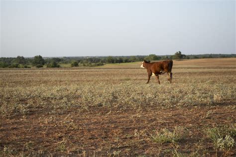 Oklahoma Drought Oklahomas Multi Year Drought Has Deplete Flickr