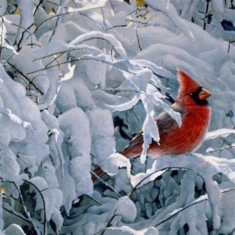 Unique Individualsbusiness Success Birds Cardinal Birds Winter