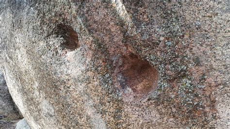 These Two Spherical Holes Formed On A Rock In My Backyard Does Anyone