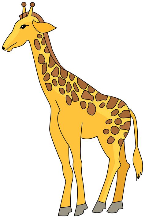 Top Giraffe Stock Vectors Illustrations And Clip Art Clipart Library