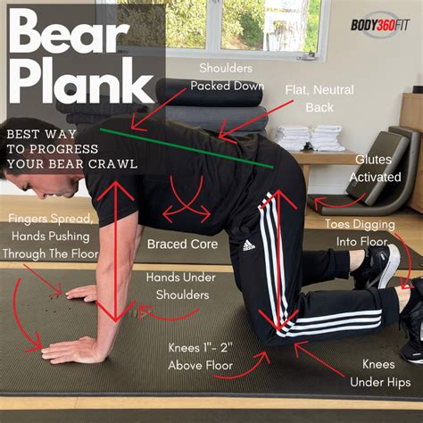 7 Bear Crawl Exercise Benefits How To Variations And Pdf