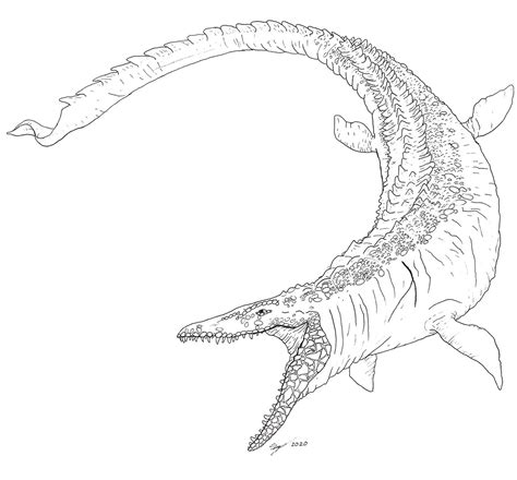 Coloring Mosasaurus Jurassic Mosasaur Colouring Prehistoric Platecarpus