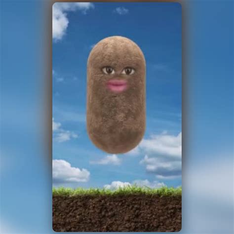 Top Potato Lens By Phil Walton Snapchat Lenses And Filters