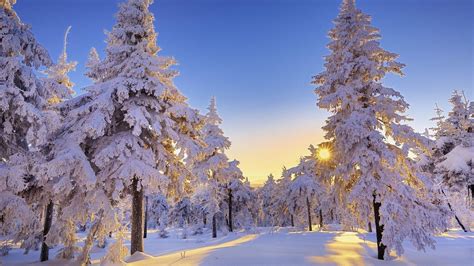 10 Latest Winter Wonderland Backgrounds For Desktop Full Hd 1080p For