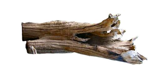 Driftwood Vector At Collection Of Driftwood Vector