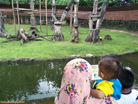 Bantuan kepada zoo taiping bukan sahaja dilaksanakan dalam tempoh. Harga Tiket Zoo Taiping Turun, Masa Sesuai Najmi Tengok Haiwan