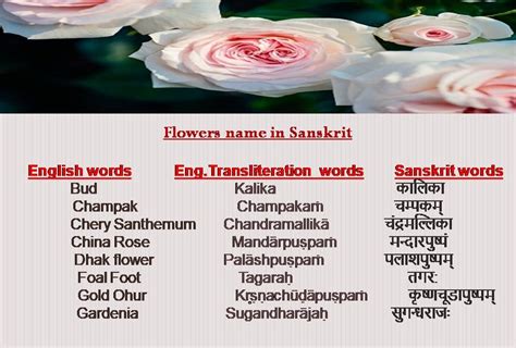 Flowers Name In Sanskrit