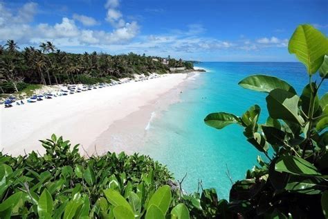 Welches Beach Beach In Barbados Beachoo