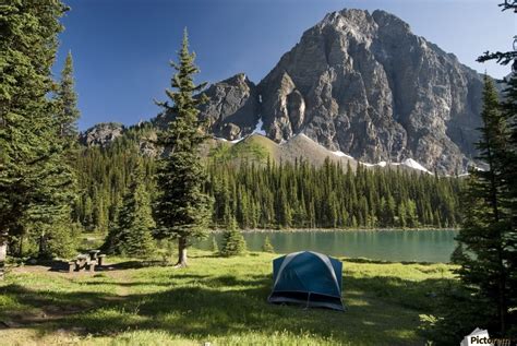 Camping Taylor Lake Banff National Park Banff Alberta