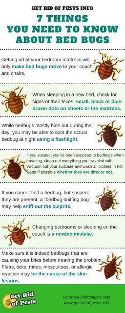 7 Things You Need To Know About Bed Bugs