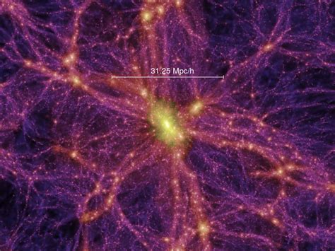 Forming Stars From The Cosmic Web