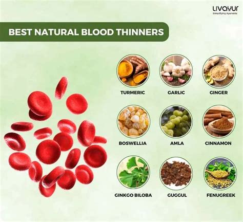 15 Best Natural Blood Thinners Food And Supplements Livayur