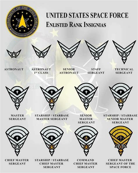 Pin By Cpt Crash On De Motivating Military Ranks Military Insignia