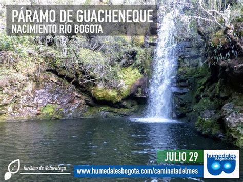 Caminata Al Páramo De Guacheneque Nacimiento Del Río Bogotá