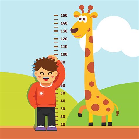 Royalty Free Measuring Height Clip Art Vector Images And Illustrations