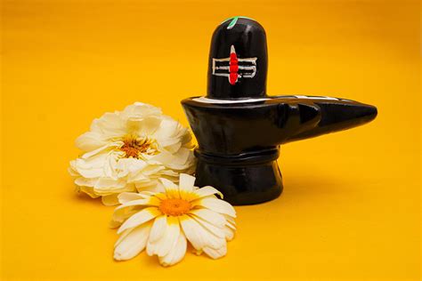 Shiva Linga Decorated With Flowers On Yellow Background 6032212 Stock