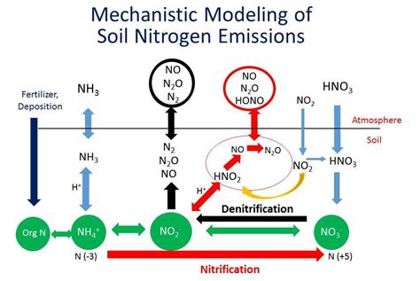 Soil Nitrogen Emissions Modeling Cohan Rice University