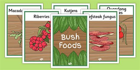 Bush Foods Display Posters Teacher Made