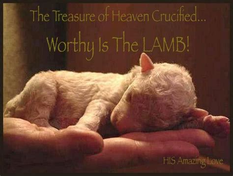 Worthy Is The Lamb Bible Faith Sheep