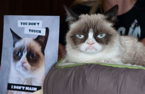 Grumpy Cat Thank You Meme