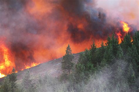 Wildfires And Climate Change — Center For Climate And Energy Solutions