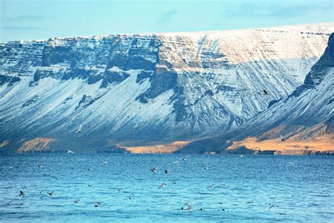 Guide To Driving The Westfjords Of Iceland Lava Car Rental