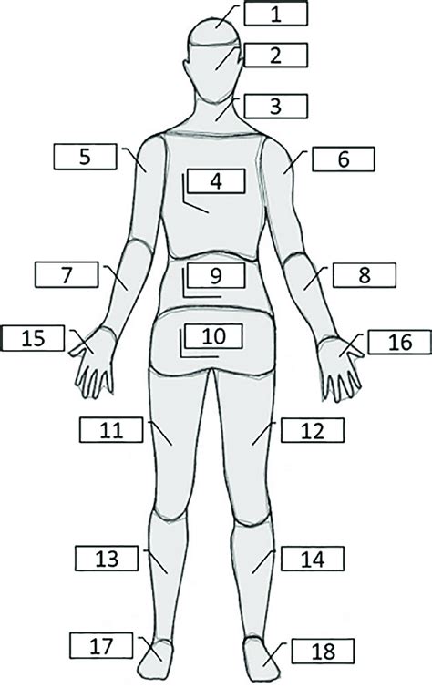 Body Code Map