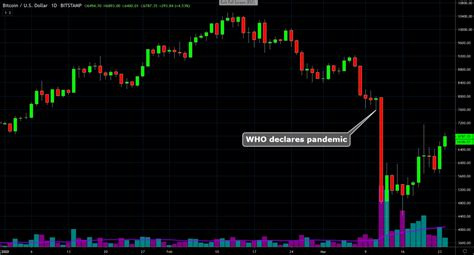 Could bitcoin btc crash again? Bitcoin & Coronavirus: Predicting Bitcoin in the Age of ...