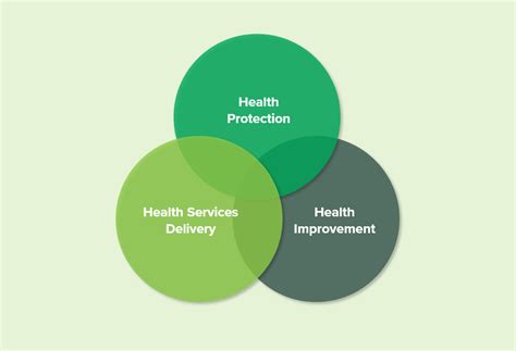 Three Domains Of Public Health