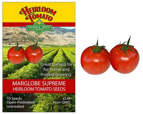 Marglobe Supreme Heirloom Tomato Seeds Etsy