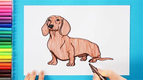 How To Draw A Dachshund Dog Youtube