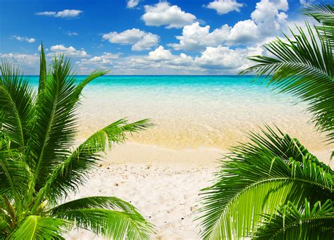 Download, share or upload your own one! Tropic Beach Background | Gallery Yopriceville - High ...
