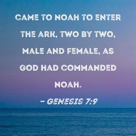 Genesis 7 9 Came To Noah To Enter The Ark Two By Two Male And Female As God Had Commanded Noah