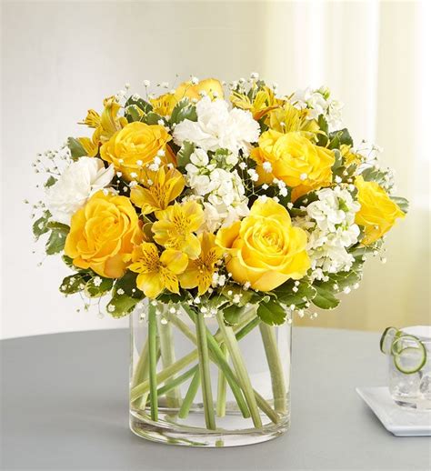 Yellow And White Delight Bouquet Large From 1 800