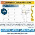 Bras Sizes & Cup Sizes Charts, How to Measure + Conversion