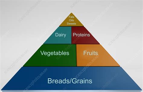 Food Pyramid Stock Image C0080135 Science Photo Library