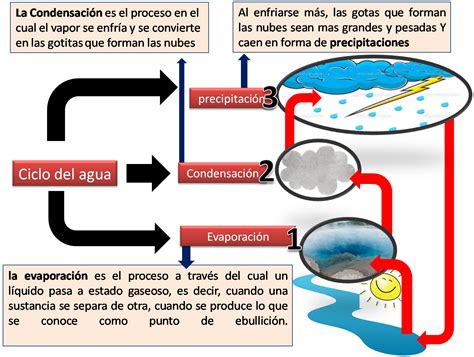 Mapa Conceptual Ciclo Del Agua