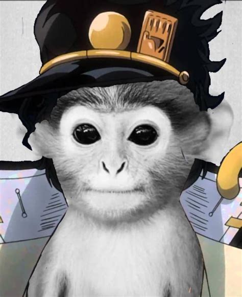 Pfps On Tiktok Is This Monkey Which Is A Pfp For P3dos Apparently