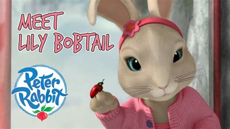 Officialpeterrabbit Meet Lily Bobtail 🐰 🔎 🎀 Character Best Bits