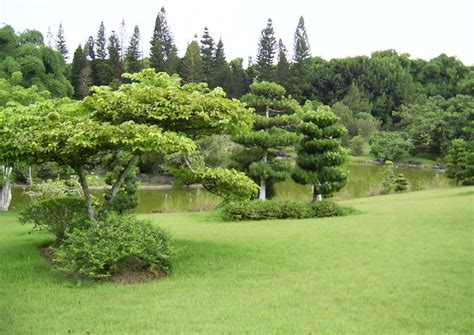 Codigo Jard N Botanico De Santo Domingo Ii