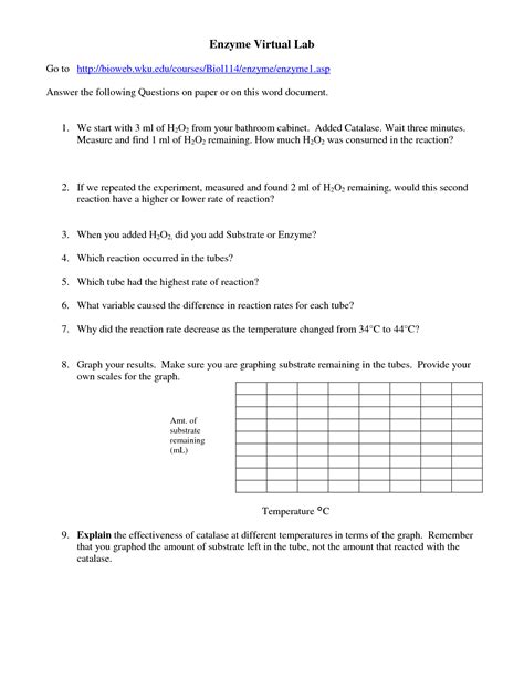 In the process, they learn about several common molecular biology methods the accompanying worksheet provides structure and guidance as students perform the procedures in the lab. 32 Biology 20 Enzymes Worksheet Answers - Worksheet Resource Plans