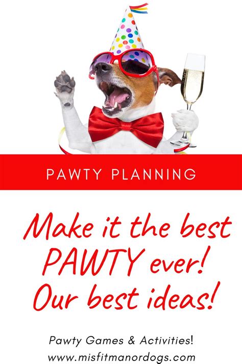 Pawty Planning Entertaining The Hoomans The Misfit Manor Shop Dog