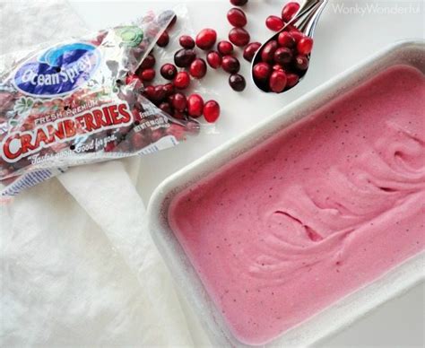 Thanksgiving Dessert Recipe Cranberry Ice Cream Wonkywonderful